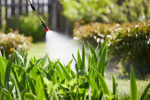 24/7 Emergency Wasp Removal experts in Cooper, TX